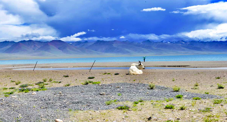 Namtso Lake