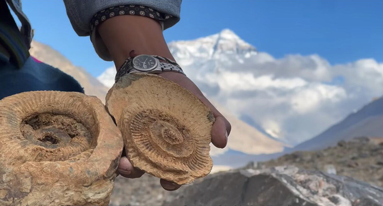 Marine fossils under Mount Everest