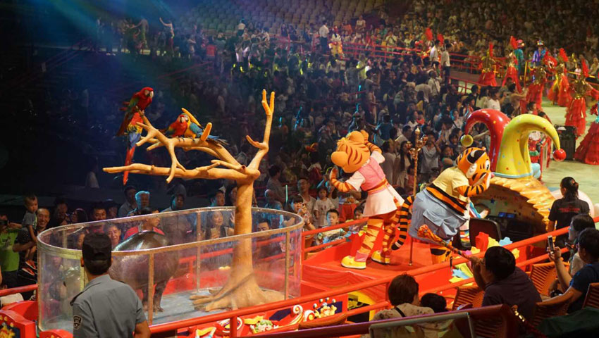 Chimelong International Circus