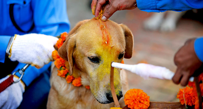 Tihar Festival