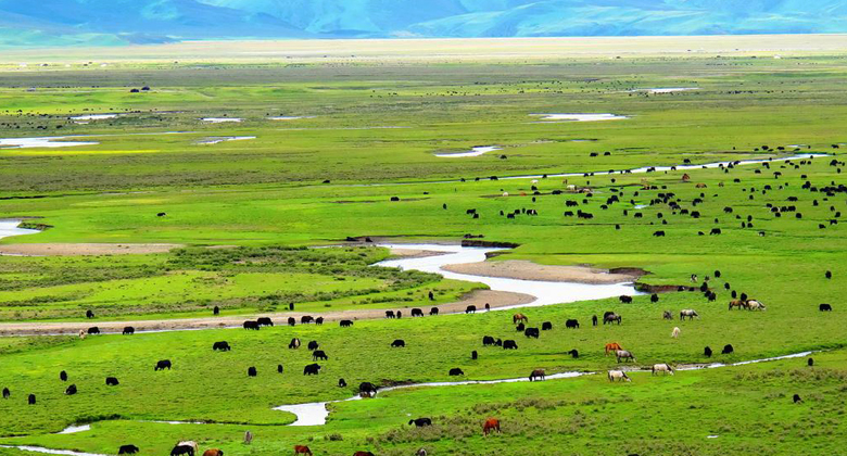 Maoya Grassland