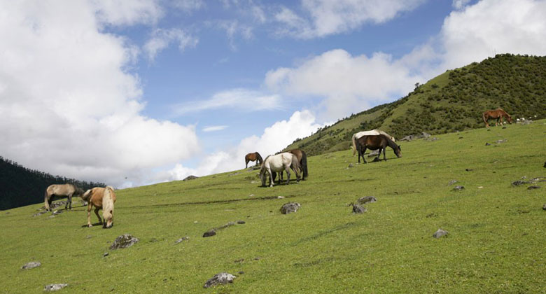 Merak Sakteng Eco Trek