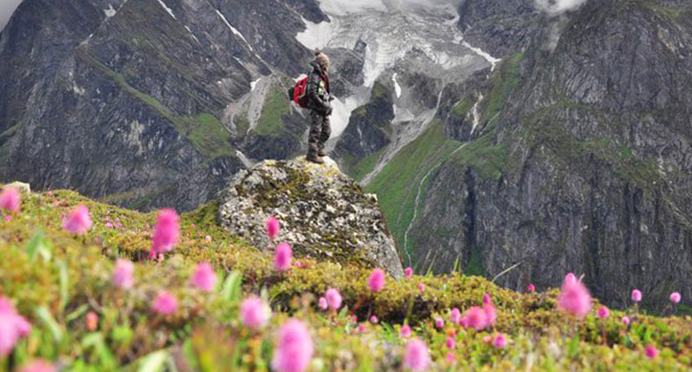 Schöne Landschaft von Orchideen Tal