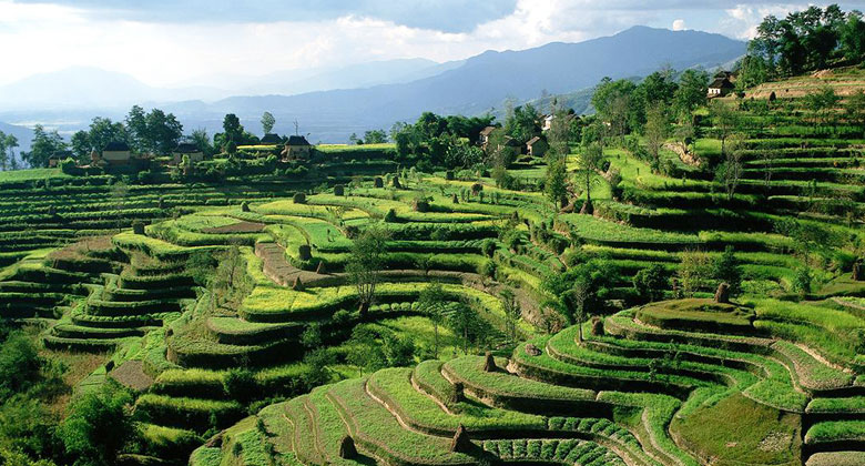 Terai Region von Nepal