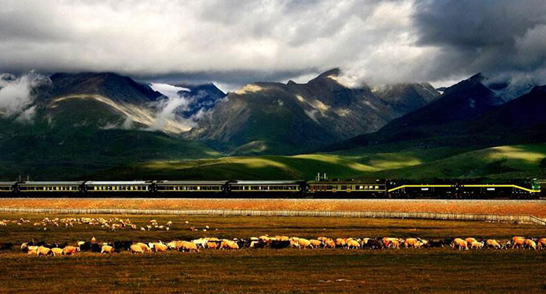 Der Qinghai-Tibet Zug fährt am Hoh Xil Gebiet vorbei