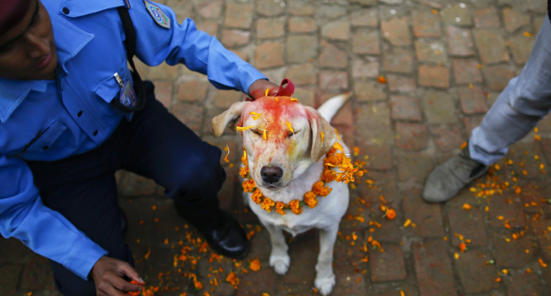 Tihar Festival in Nepal