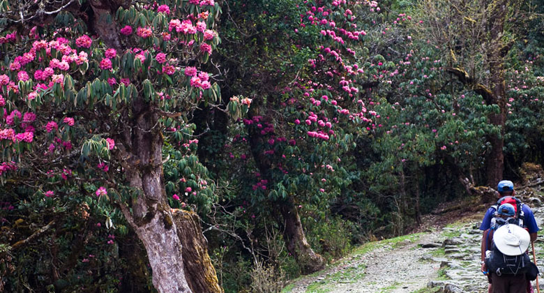 Trekking in Nepal im Frühling