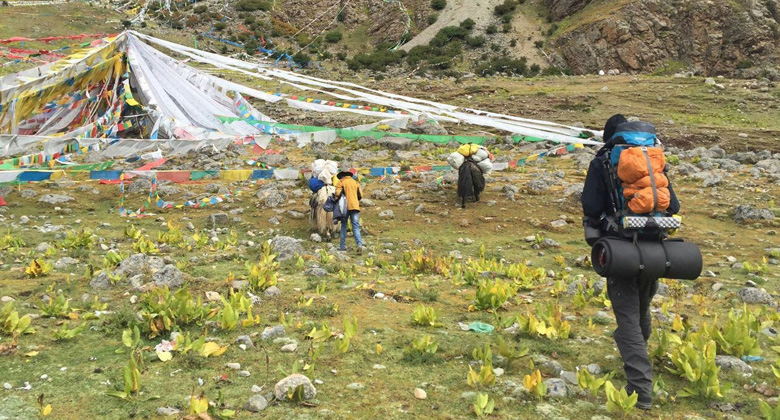 Tsurphu nach Yangpachen Wanderung