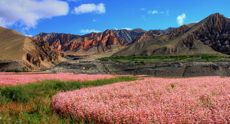 Die Monsunzeit Upper Mustang Wanderung