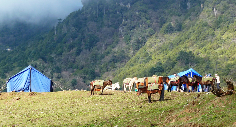 Druk Path Trek