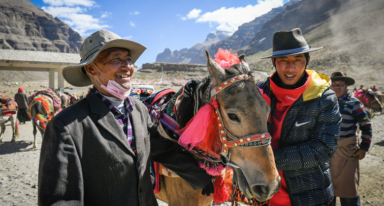 Yak in Mount Kailash