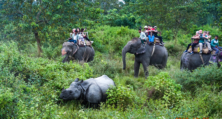 Beste Reisezeit für den Besuch des Chitwan-Nationalparks