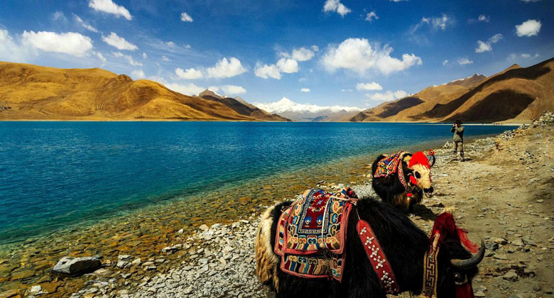 Tibet Yamdrok Lake